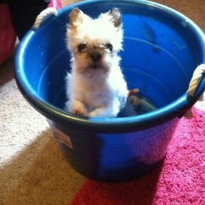 Meet your Posher, Leann